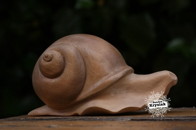 Caracol en Tilo (Paloma)