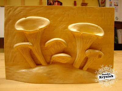 JLF, relieve setas, 2013