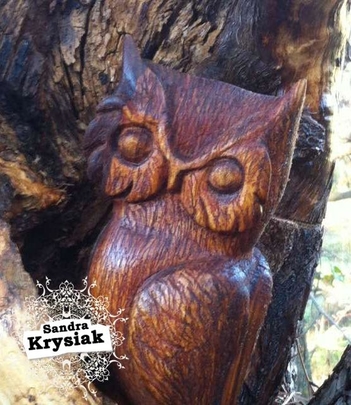 Adelaida, serie lechuza, 2015