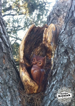 Adelaida, serie lechuza, 2015