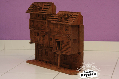 Sergio, cedro tropical, 2013