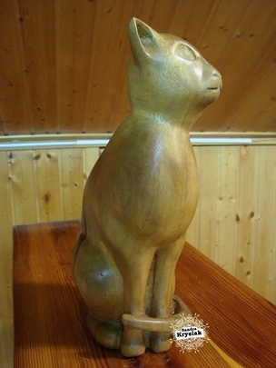 Paloma, gato en Iroko