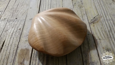 Salvador. Talla en zebrano. Concha. 2019