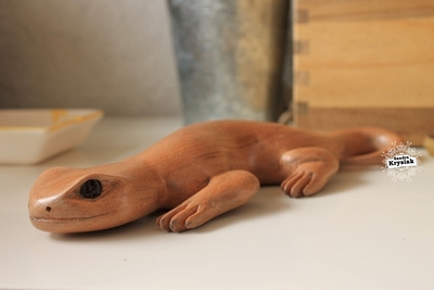 Silvia, salamandra en cedro